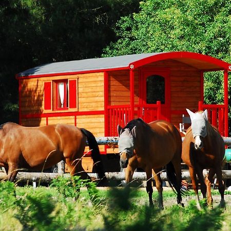 Gypsy Nature B&B Jumelles  Quarto foto
