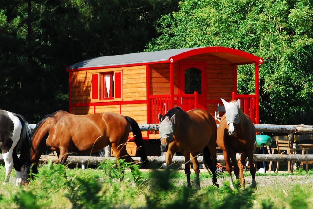 Gypsy Nature B&B Jumelles  Quarto foto
