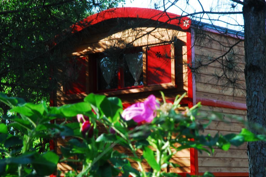 Gypsy Nature B&B Jumelles  Quarto foto